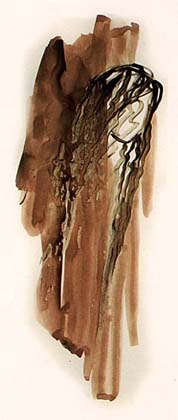 Autor: Zden�k Kopeck�